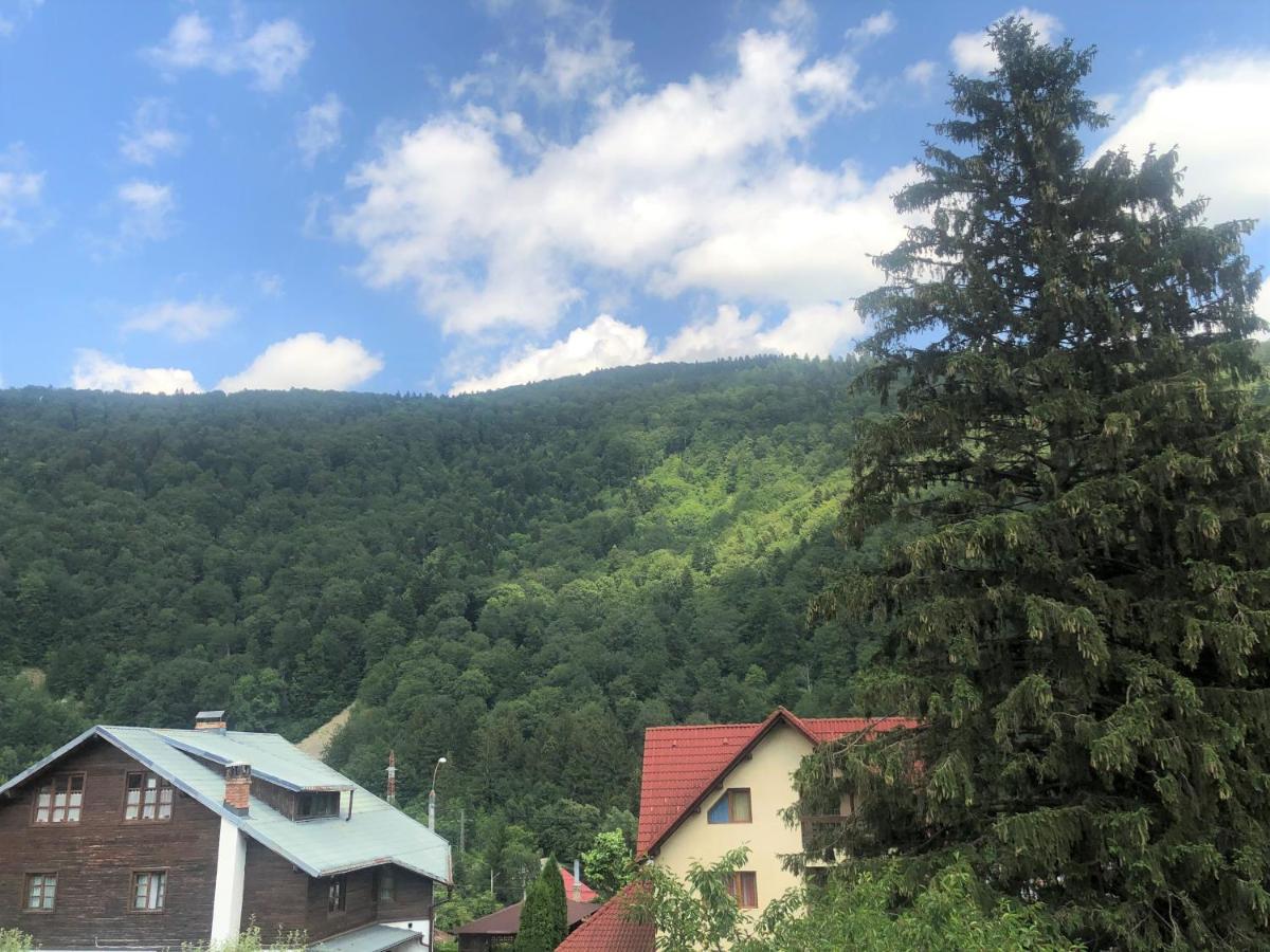 Holiday Home In Sinaia Zewnętrze zdjęcie