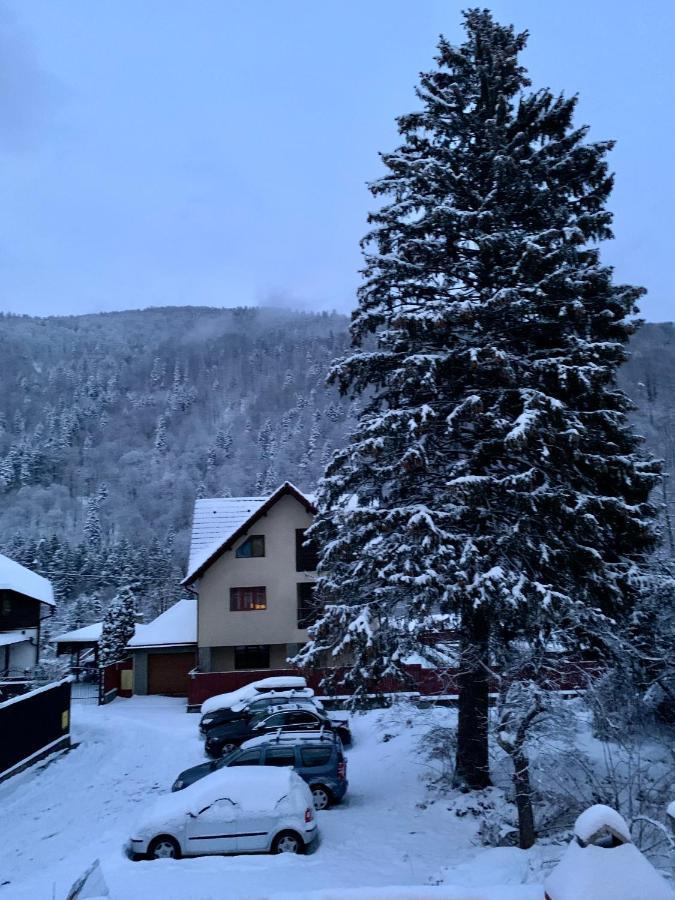 Holiday Home In Sinaia Zewnętrze zdjęcie