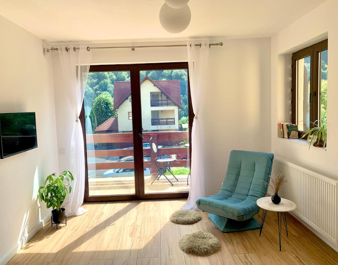 Holiday Home In Sinaia Zewnętrze zdjęcie